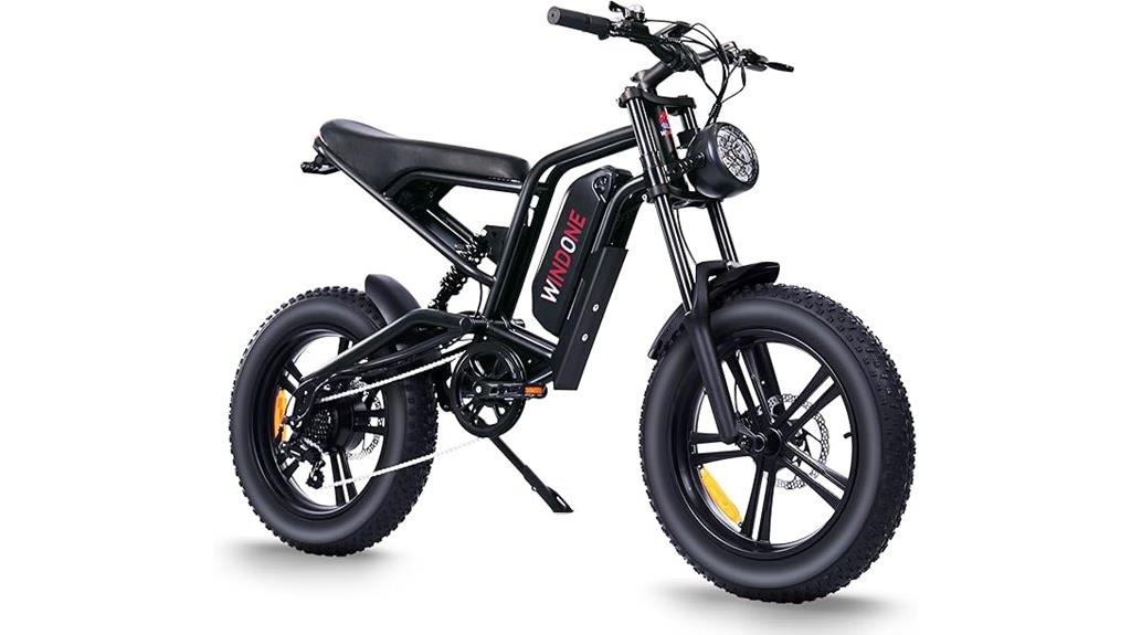 adult electric bicycle model