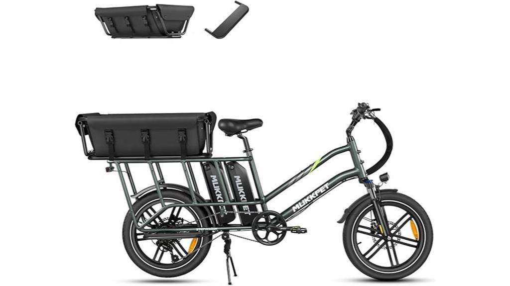 electric adult fat tire bike