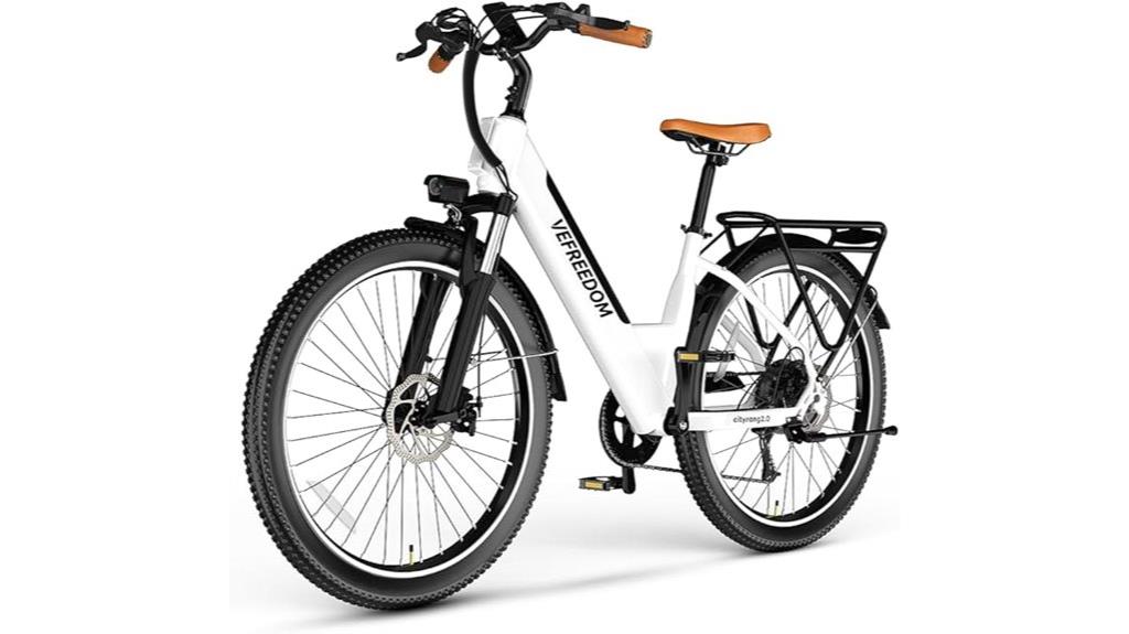 powerful 1000w electric bike
