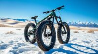 top fat tire e bikes