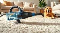 pet friendly portable carpet cleaners