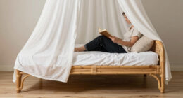 10 Best Canopy Beds for Boho Bedrooms in 2026
