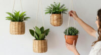 10 Best Hanging Planters for Boho Homes in 2026
