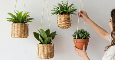 10 Best Hanging Planters for Boho Homes in 2026