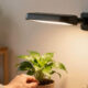 11 Best Grow Lights for Stylish Plant Corners in 2026