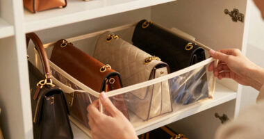 12 Best Best Purse Organizers for Closets in 2026