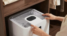 12 Best Closet Dehumidifiers for Luxury Wardrobes in 2026