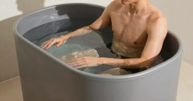 12 Best Cold Plunge Tubs for Home Recovery in 2026