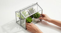 12 Best Greenhouse Cabinets for Plant Decor in 2026