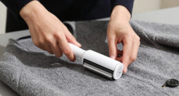 12 Best Lint Removers for Wool Coats in 2026