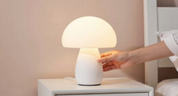 12 Best Mushroom Lamps for Trendy Bedrooms in 2026