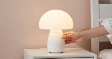 12 Best Mushroom Lamps for Trendy Bedrooms in 2026