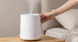 14 Best Humidifiers for Skin-Friendly Bedrooms in 2026