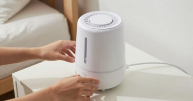 15 Best Humidifiers for Skin-Friendly Bedrooms in 2026