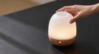 8 Best Aromatherapy Diffusers for Meditation Corners in 2026