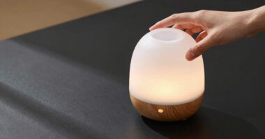 8 Best Aromatherapy Diffusers for Meditation Corners in 2026