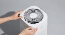 8 Best Dehumidifiers for Closets in 2026