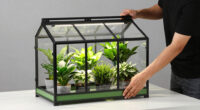 8 Best Greenhouse Cabinets for Indoor Plants in 2026