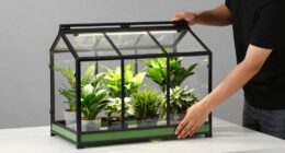 8 Best Greenhouse Cabinets for Indoor Plants in 2026