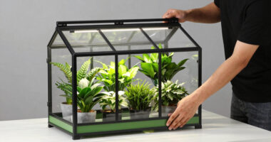 8 Best Greenhouse Cabinets for Indoor Plants in 2026