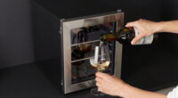 9 Best Wine Coolers for Entertaining Spaces in 2026