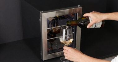 9 Best Wine Coolers for Entertaining Spaces in 2026