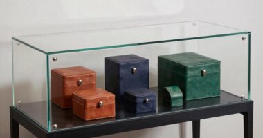 elegant watch display cases
