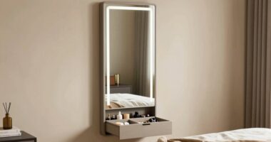 mirror with built in storage