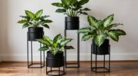 organized indoor plant display
