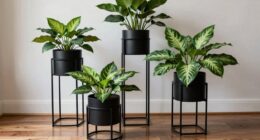 organized indoor plant display