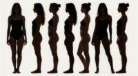 proportions over body labels