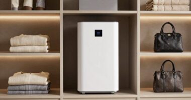 quiet closet moisture control