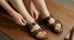 10 Best Birkenstock Sandals in 2026