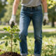 10 Best Sustainable Jeans in 2026
