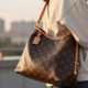 11 Best Louis Vuitton Bags in 2026