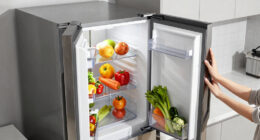 12 Best Designer Refrigerators in 2026