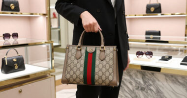 12 Best Gucci Fashion Accessories in 2026
