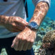 15 Best Dive Watches in 2026