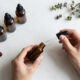 5 Best Perfumes for Cancer Signs in 2026