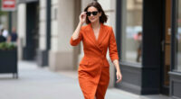 11 Best Joseph Ribkoff Clothing in 2026