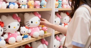 12 Best Hello Kitty Toys in 2026
