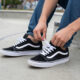 14 Best Vans Skate Shoes in 2026