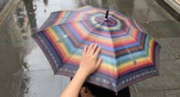 15 Best Stylish Back to School Umbrellas in 2026