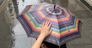 15 Best Stylish Back to School Umbrellas in 2026