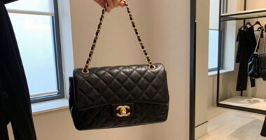 4 Best Chanel Bags in 2026