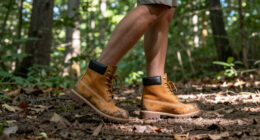 6 Best Timberland Boots in 2026