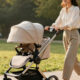 7 Best Luxury Baby Strollers in 2026