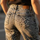 11 Best Animal Print Jeans for Making a Statement in 2026