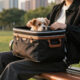 12 Best Stylish Pet Carriers in 2026