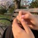 13 Best Cherry Blossom Nail Stickers in 2026